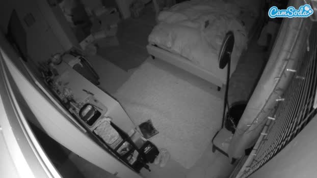 voyeurcam-hornyhostel-02 prettyface Webcam SHOW @ 01-12-2023