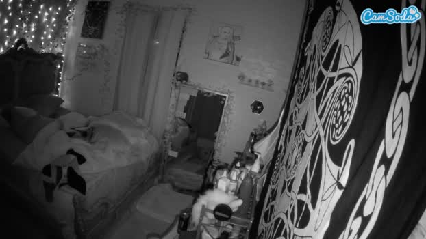 voyeurcam-hornyhostel-03 natural Webcam SHOW @ 30-11-2023