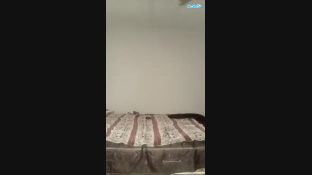 enchantingtori moan Webcam SHOW @ 04-12-2023