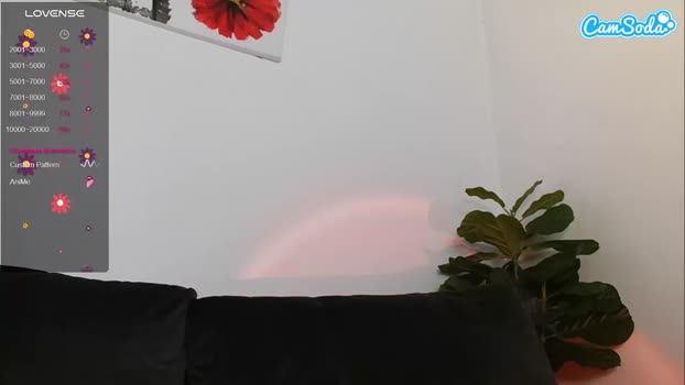 sweetreya Ass Webcam SHOW @ 16-12-2023
