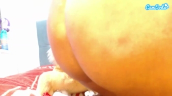 kelsiemoore bigtoys Webcam SHOW @ 17-12-2023