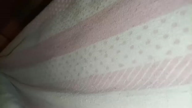 porcellina181 analtoy Webcam SHOW @ 03-01-2024