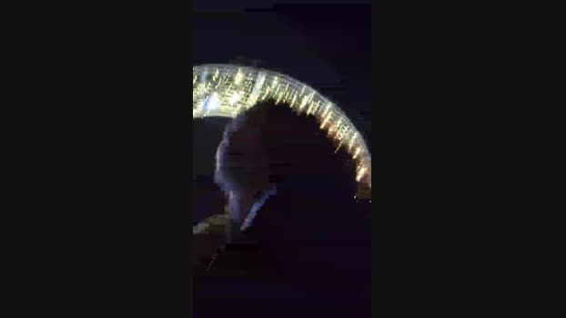 Asiancat83 kissing Webcam SHOW @ 09-01-2024