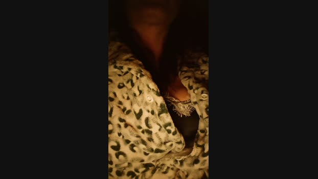 Sexcopy orgasm Webcam SHOW @ 19-01-2024
