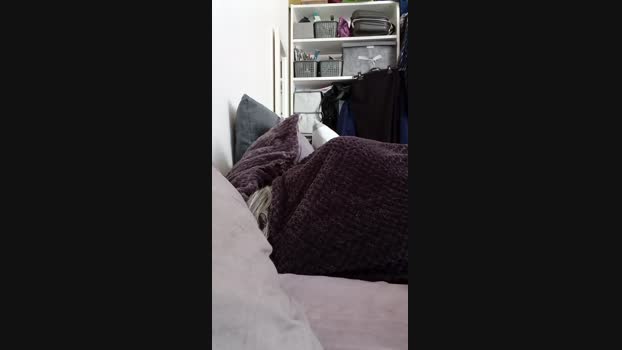 simo460 pussy Webcam SHOW @ 20-01-2024