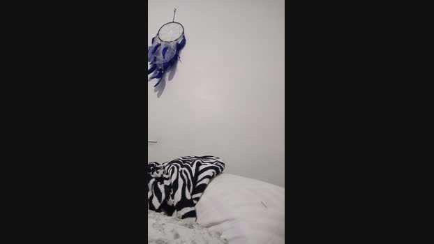 melishanton analsex Webcam SHOW @ 21-01-2024