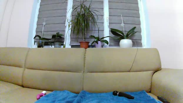 have_funnn toy Webcam SHOW @ 22-01-2024