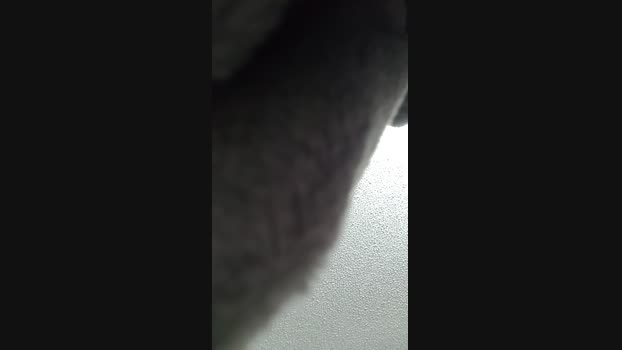 natasha6 bigass Webcam SHOW @ 23-01-2024