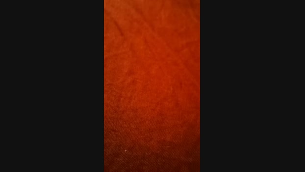 Libellule29 Ass Webcam SHOW @ 31-01-2024
