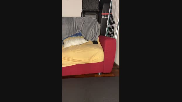 bazy783 toy Webcam SHOW @ 06-02-2024