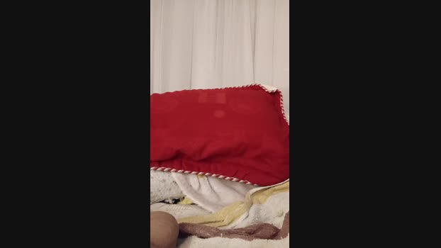 melishanton hot Webcam SHOW @ 08-02-2024