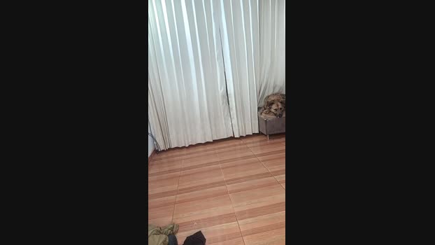 Cata_ suckcock Webcam SHOW @ 05-03-2024