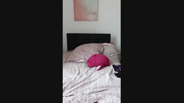 Mimidreve_ spank Webcam SHOW @ Cam4 14-03-2024
