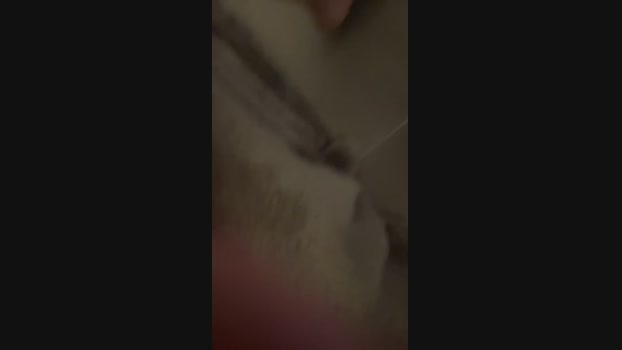 jeunecouplefun cute Webcam SHOW @ Cam4 23-03-2024