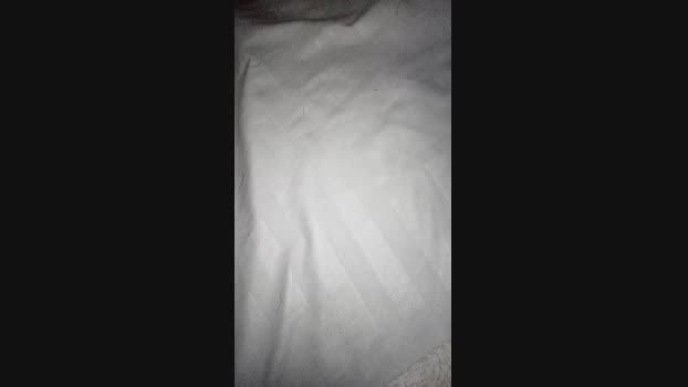 Histrika23 show Webcam SHOW @ Cam4 30-03-2024
