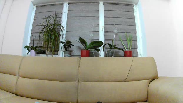 have_funnn cute Webcam SHOW @ Cam4 31-03-2024