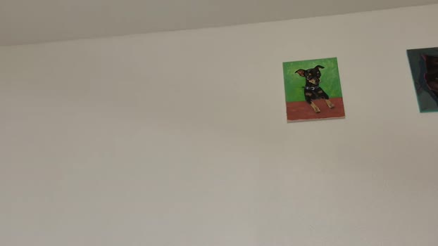 SquirtMadame play Webcam SHOW @ Cam4 20-04-2024