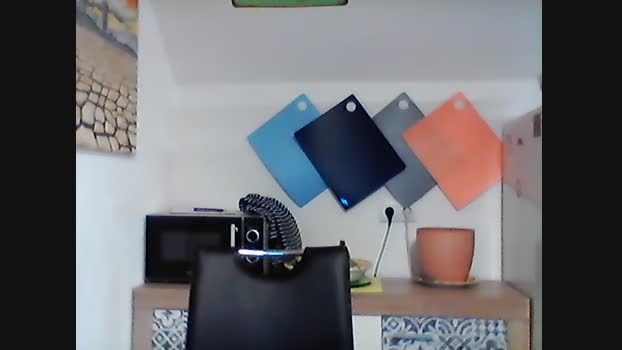schugga1 gag Webcam SHOW @ Cam4 21-04-2024