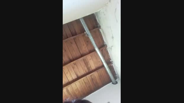 Cone2023 lush Webcam SHOW @ Cam4 22-04-2024