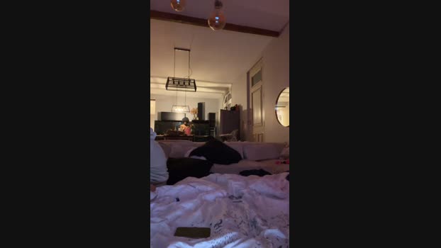 Carribean34 hard Webcam SHOW @ Cam4 28-04-2024