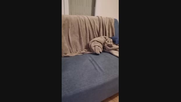 Libellule29 analtoy Webcam SHOW @ Cam4 29-04-2024