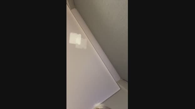 Loresofia suckcock Webcam SHOW @ Cam4 01-05-2024