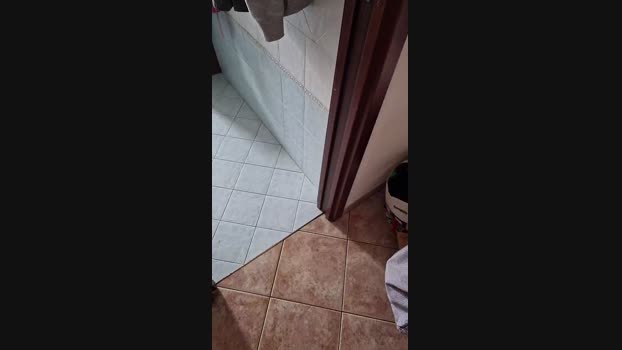 Selaeip analtoy Webcam SHOW @ Cam4 11-05-2024