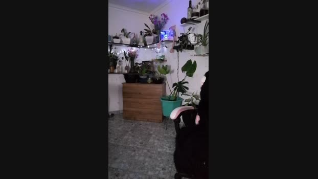 CrazyMom69 amateur Webcam SHOW @ Cam4 31-05-2024