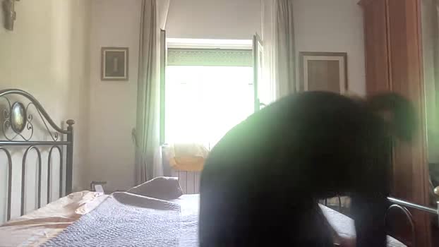 martinabigst Cam Webcam SHOW @ Cam4 03-06-2024