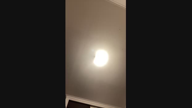 venus195 toy Webcam SHOW @ Cam4 06-06-2024