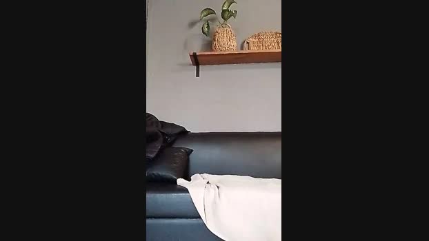 anmp20004 tits Webcam SHOW @ Cam4 07-06-2024