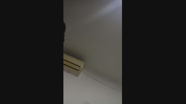 Cony429 sex Webcam SHOW @ Cam4 10-06-2024