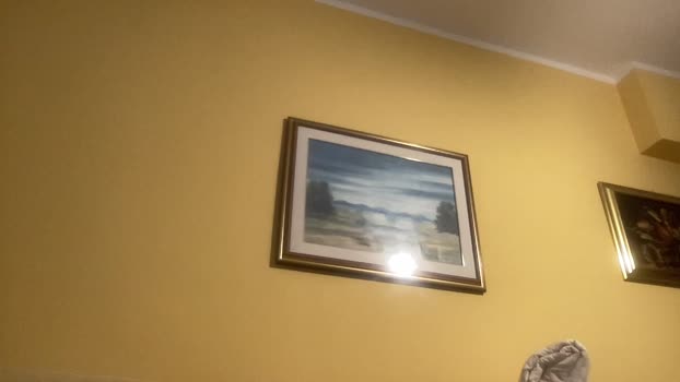 martinabigst Wet Webcam SHOW @ Cam4 11-06-2024