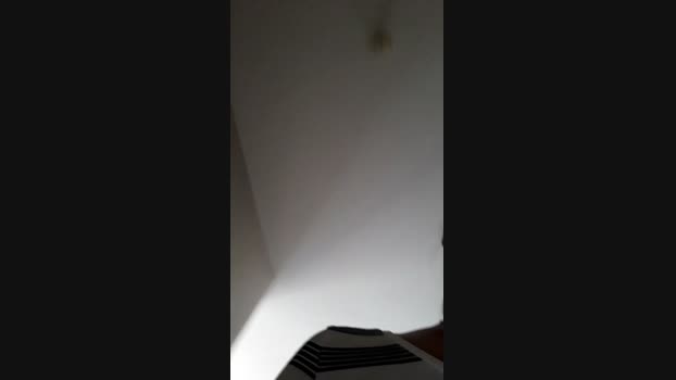 Dollysex6 lickpussy Webcam SHOW @ Cam4 24-06-2024
