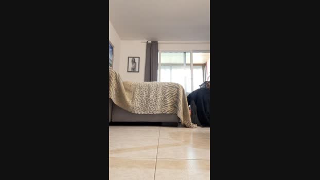 Sexy___Morena analtoy Webcam SHOW @ Cam4 26-06-2024