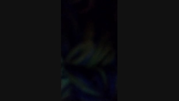 anamariaaran fuckhard Webcam SHOW @ Cam4 27-06-2024