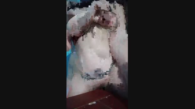 Looka44 toys Webcam SHOW @ Cam4 06-07-2024