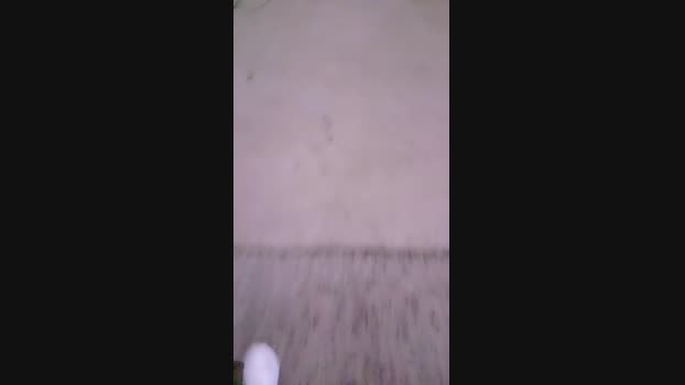 Sutritaysutro yummy Webcam SHOW @ Cam4 06-07-2024