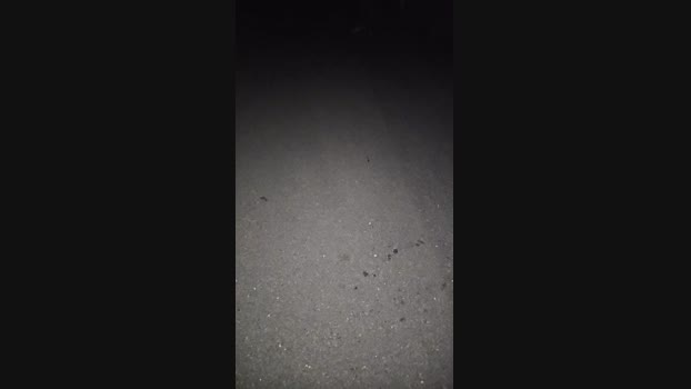 daddyslut1 nasty Webcam SHOW @ Cam4 05-07-2024