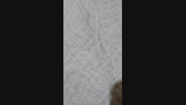 Sutritaysutro lush Webcam SHOW @ Cam4 09-07-2024