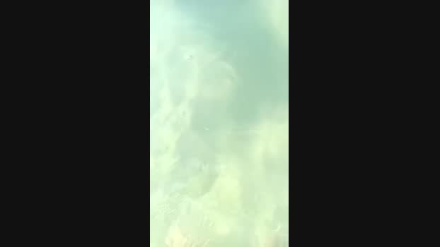 Tesla53 deepthroa Webcam SHOW @ Cam4 27-07-2024