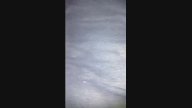 casalD4PVH bj-dildo Webcam SHOW @ Cam4 26-07-2024