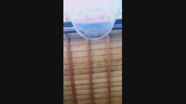 AgataInFabula Porn Webcam SHOW @ Cam4 28-07-2024