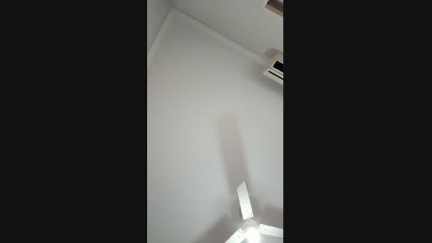 Vivialves lush Webcam SHOW @ Cam4 04-08-2024