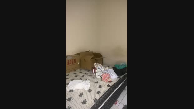 evelynBastos98 suckshow Webcam SHOW @ Cam4 09-08-2024
