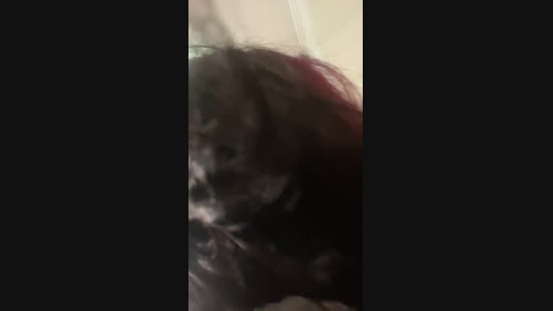 Madamepiaceri hardcore Webcam SHOW @ Cam4 15-08-2024