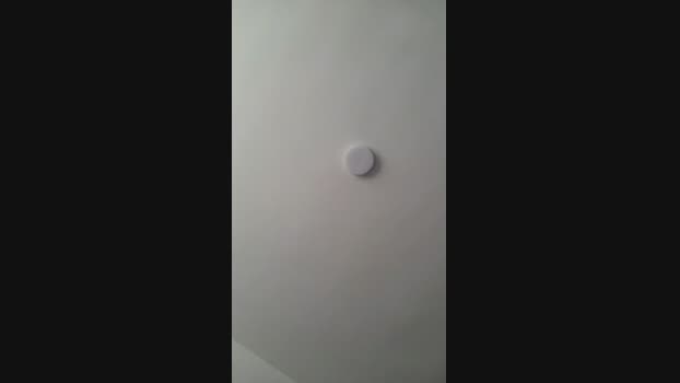 manefuego fuckface Webcam SHOW @ Cam4 14-08-2024