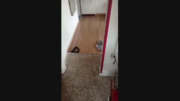 noicoppia71 gag Webcam SHOW @ Cam4 18-08-2024