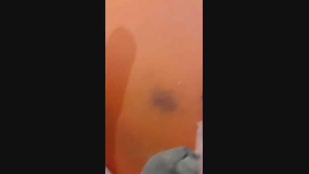 pilar1sex fuckpussy Webcam SHOW @ Cam4 23-08-2024