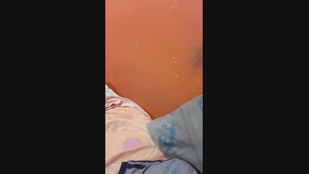 pilar1sex ass Webcam SHOW @ Cam4 31-08-2024